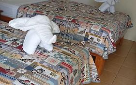 Hotel Iris Arenal